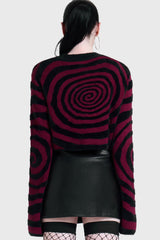 VOICES SPIRAL CROP KNIT SWEATER